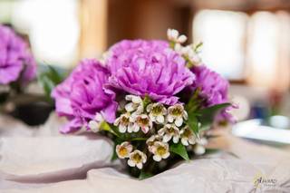 Perkasie florist - 61