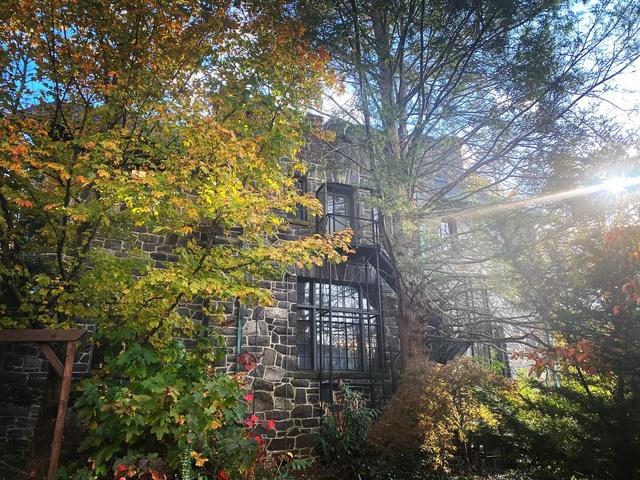 Homewood - 4