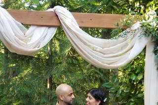 Black Swan Events - 23