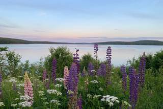 Penobscot Bay Estate - 21