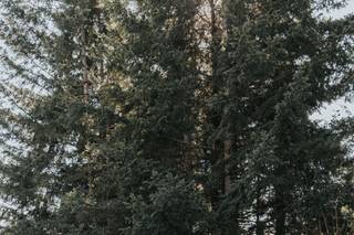 Bailey Batishev Photography - 33