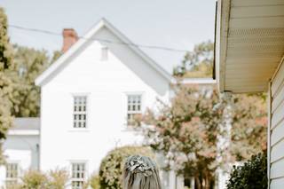 Corley Mill House & Garden - 7
