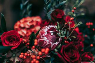 Leslie Kerby Photography - 10