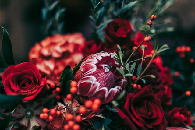 Leslie Kerby Photography - 3