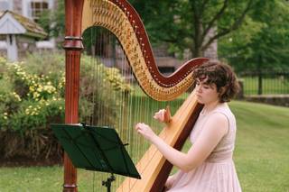 The Elegant Harp - 18
