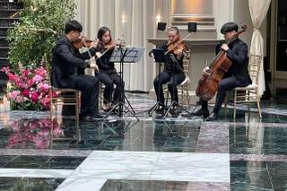 Apollo Chamber Music - 5