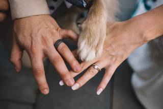 Alisha Maria Photography - 17