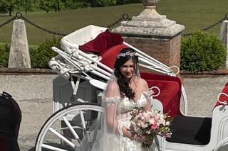 Magnum Opus Events - 24