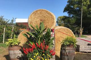 Becker Farms and Vizcarra Vineyards - 85