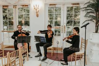Parkwest Strings - 4