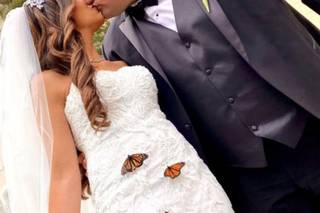 Celebrate at Snug Harbor - 31