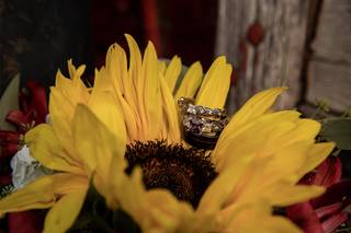 Modern Moments Photography - 21