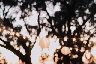 Bella Blooms & Events - 22