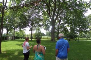 The Polo Barn at Saxony - 6