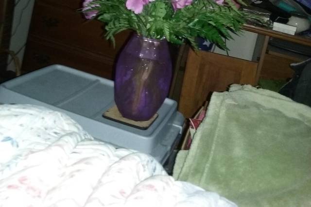 The Petal and The Stem 4