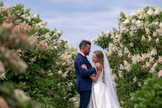 Lisa Nicolosi Photography - 10