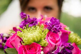 Marah Cole Designs - 17
