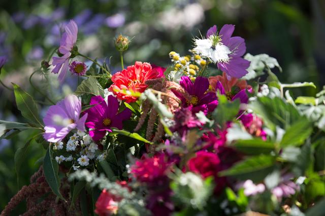 Sunfresh Flowers - 4