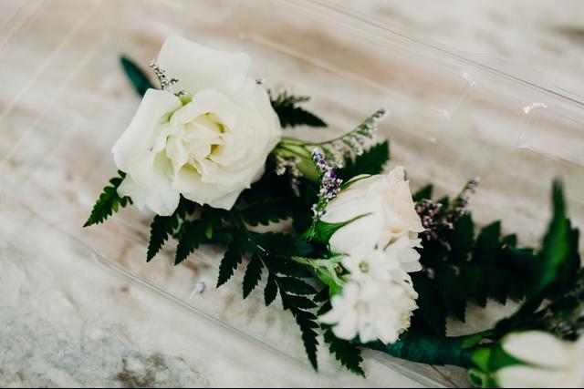 FLORA - 4