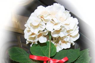 Lasting Touch Photography - 28