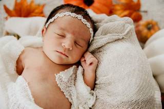 Pheral Photography - 47