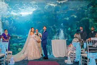 Weddings and Wellness - 35