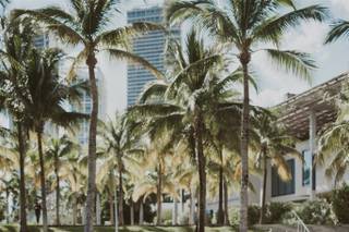 Cassandra Trcka Photography - 17