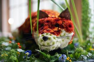 Zena Florist - 11