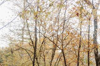 Hanna Rain Photography - 7