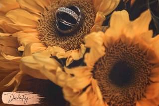 Doodle Fly Photography - 17