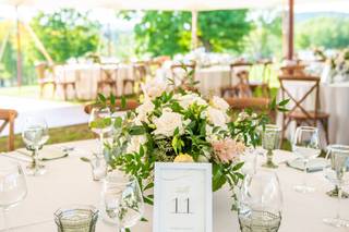 Enza Events - 13