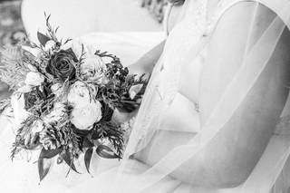 Katie Arnold Photography - 9