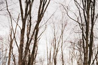 Alicia Martire Photography - 10
