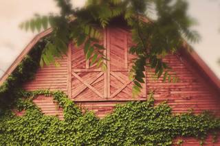 Quonquont Farm - 58