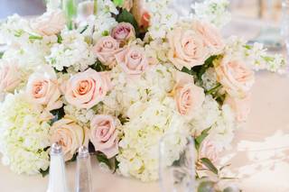 Erin Padgett Events - 16