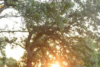 Carrie Holbo Photography - 4