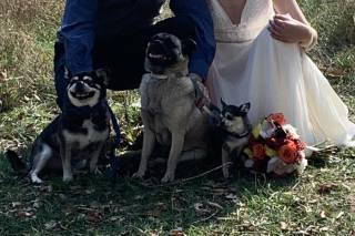 At Last! - Wedding Officiant - 25