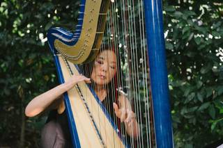 Harp Music By Vonette & Musical Networks - 5