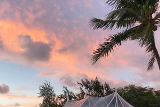 Cortney Crane Events - 8
