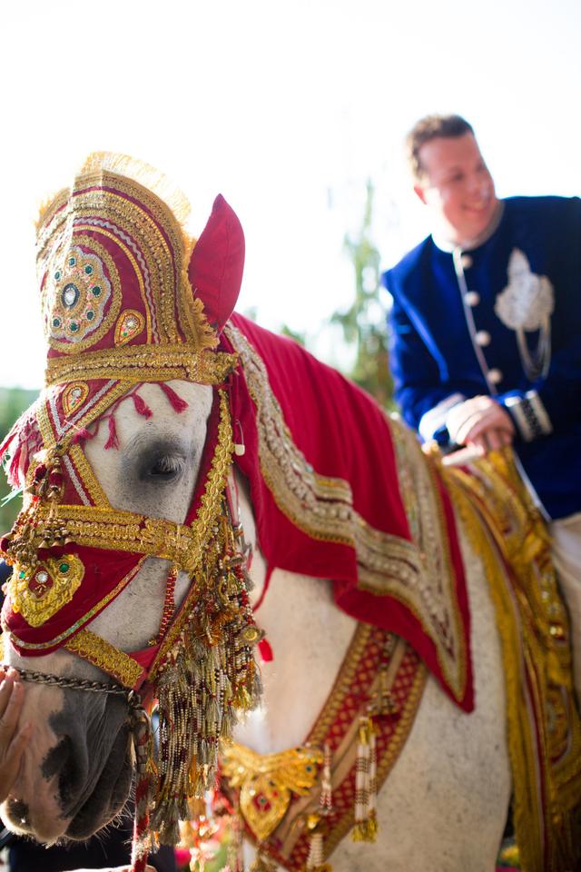 Dhoom Events Indian Wedding DJ - 2