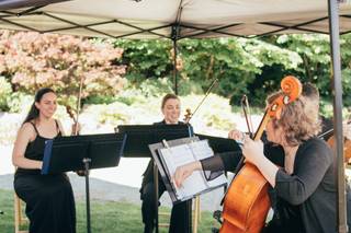 Puget Sound Strings - 18