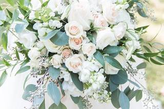 Rebecca Dotson Photography - 11