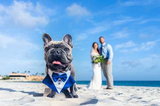 Crooze Photography Aruba - 21