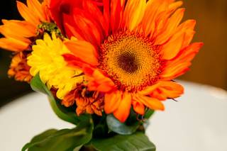 HEB Floral-Downtown Riverside - 5