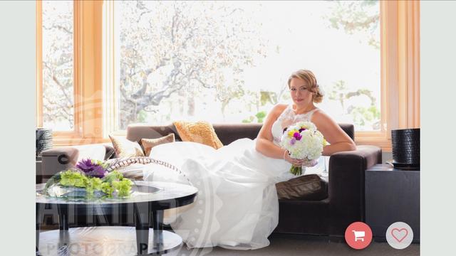 Linda Atkins Photography - 4