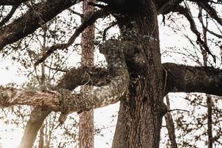 Phocus Photography - 74