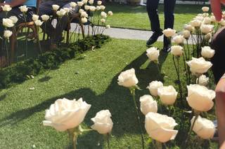 Luna Flowers - 11