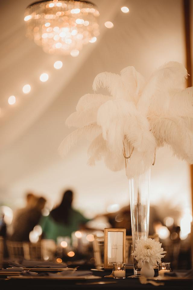 Witt & Co. Events - 2