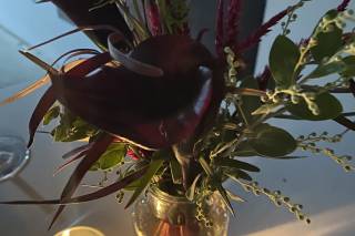 Black Dahlia Floral Designs - 15