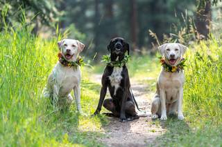 Tyler Freear Photography - 10